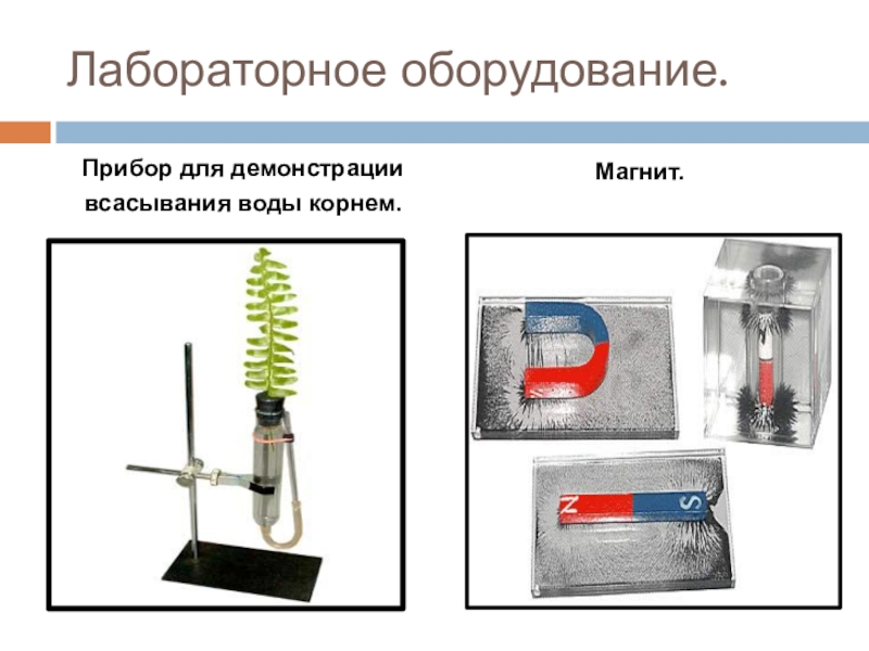 Лабораторное оборудование 5. Прибор для демонстрации всасывания воды корнями. Лабораторные приборы по биологии. Лабораторные приборы по биологии 5 класс. Приборы и инструменты в биологии.