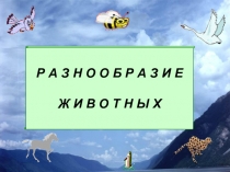 Презентация по окружающему миру Разнообразие животных 2 класс