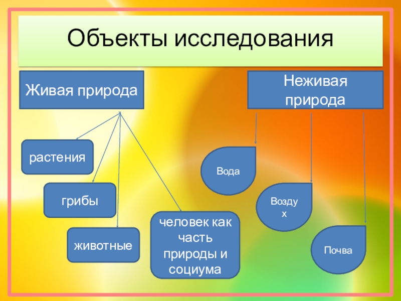 Предмет изучение человека. Живая неживая природа исследовательская работа. Неживая природа темы исследовательских работ. Опыты с живой природой. Объекты исследования неживой природы.