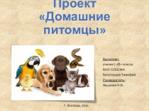 Школьный проект Домашние питомцы