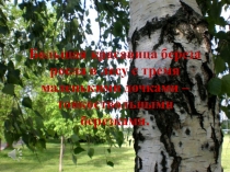 Видеоролик к притче Сердце матери