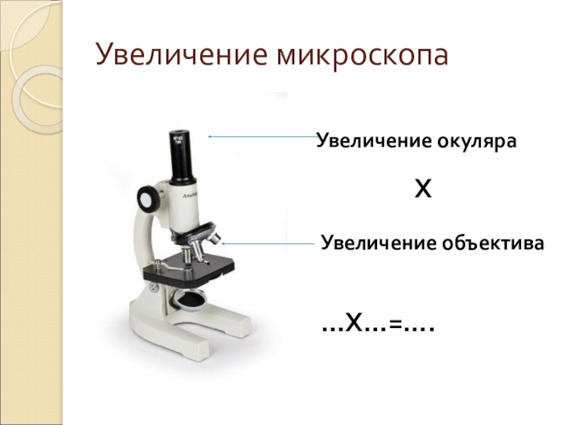 Микроскоп с образцами