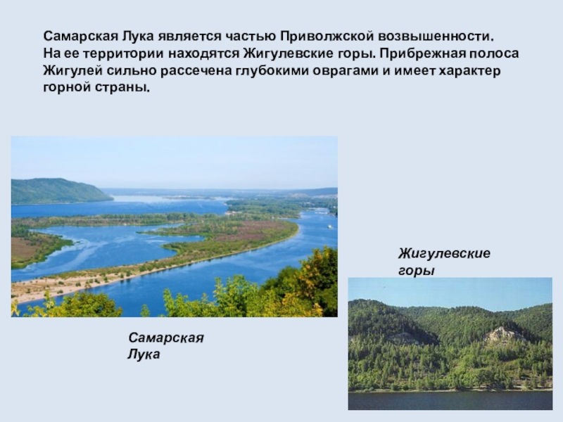 Самарская лука презентация