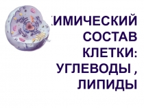 Презентация по биохимии Углеводы, липиды