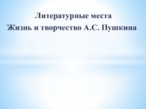 Презентация к уроку литературы на тему: Биография Пушкина