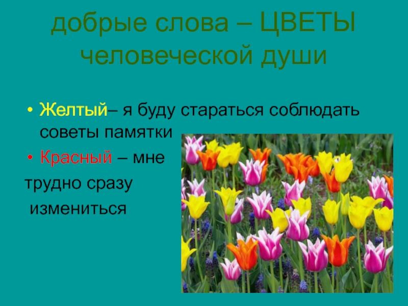 Цветы текст. Слово цветы. Цветок добрых слов. Добрые слова цветы человеческой. Цветы для текста.