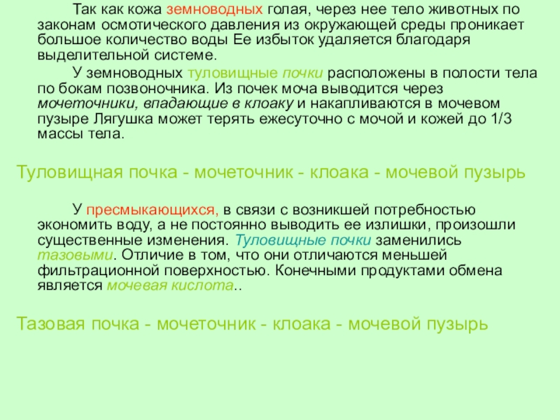 Отличие почек. Туловищные и тазовые почки. Туловищные и тазовые почки отличие. Туловищные почки и тазовые почки. Строение туловищной почки.