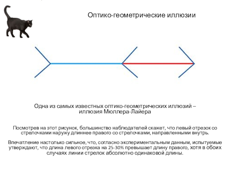 Всегда ли можно верить своим глазам или что такое иллюзия презентация