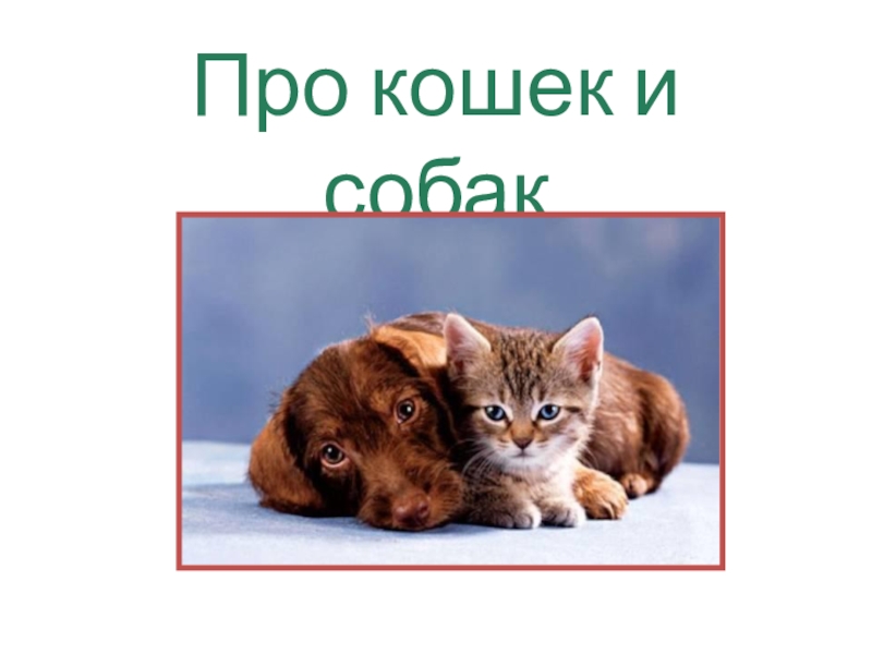 Презентация по окружающему миру на тему Кошки и собаки (2 класс)