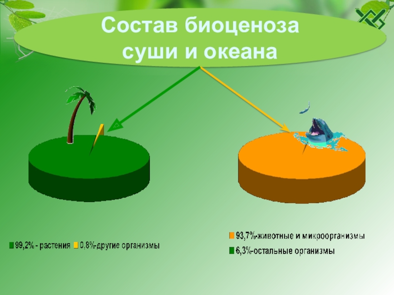 Количество видов биоценоза