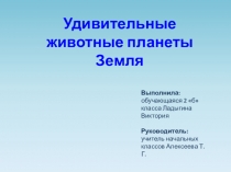 Презентация Удивительные животные планеты Земля