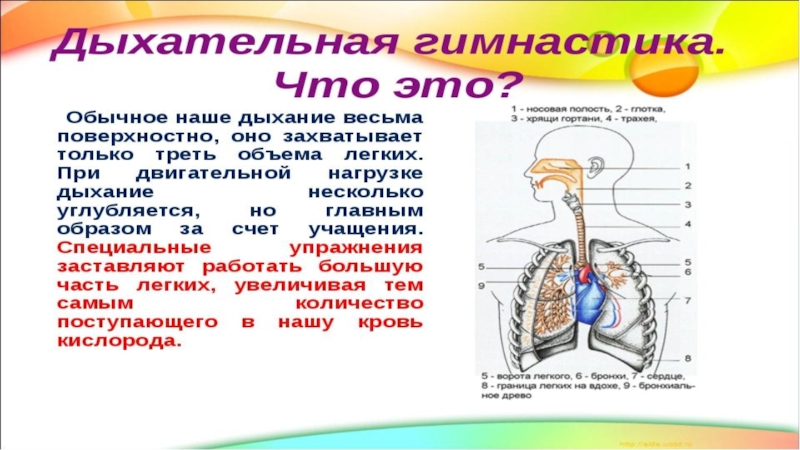 Дыхательная гимнастика для легких. Дыхание через трубочку упражнения для легких. Дыхательные упражнения через трубку. Дыхательная гимнастика с трубочкой для легких. Дыхательная гимнастика с трубочкой и водой.