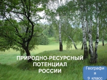 Презентация Природно-ресурсный потенциал России