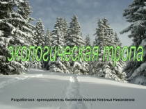Презентация по теме Основы экологии для 10 класса