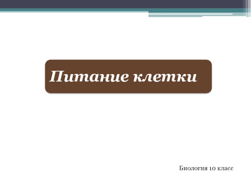 Биология 10 класс презентация