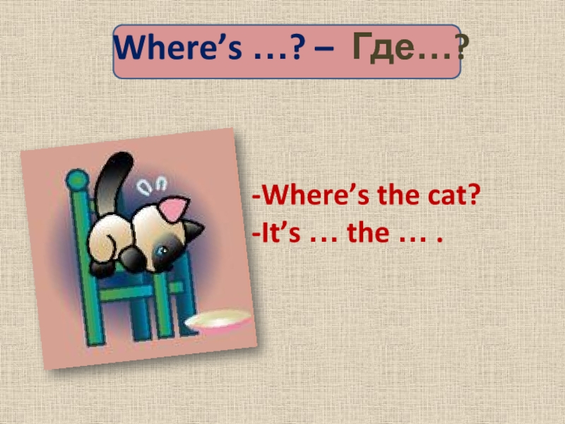 Where’s …? – Где…? Where’s the cat?It’s … the … .