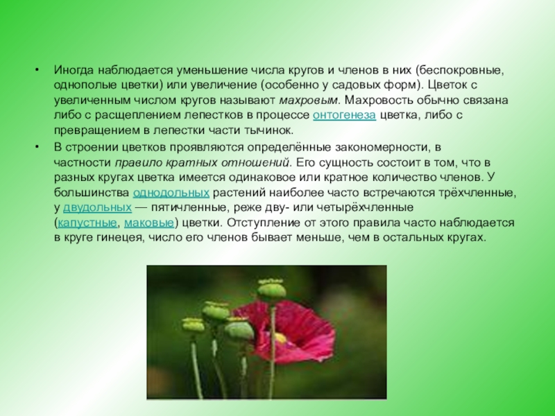 Чисел растение. Беспокровный цветок. Уменьшение количества цветов. Беспокровные цветки пример. Как называется уменьшение количества цветов в картинке.