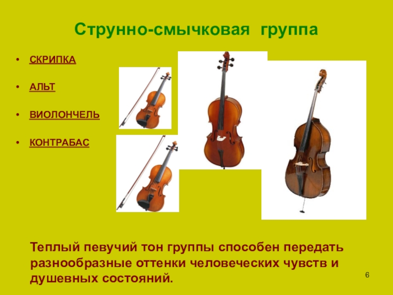 Струнные смычковые по высоте звучания. Группа струнно смычковых инструментов. Струнно-смычковые музыкальные инструменты симфонического оркестра. Струнно смычковые инструменты симфонического оркестра контрабас. Струнные смычковые инструменты скрипка Альт.