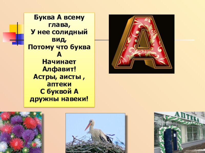 Вид потому. Представление буквы. Буква а всему глава. Буква а всему глава у нее солидный вид потому что буква а. Буква а Астра.