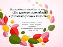 Презентация по биологии Два урожая картофеля в условиях средней полосы России автор Потапова Светлана (9класс)