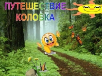 Презентация по русскому языку  Множественное число имен существительных