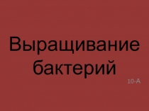 Презентация по биологии на тему Выращивание бактерий