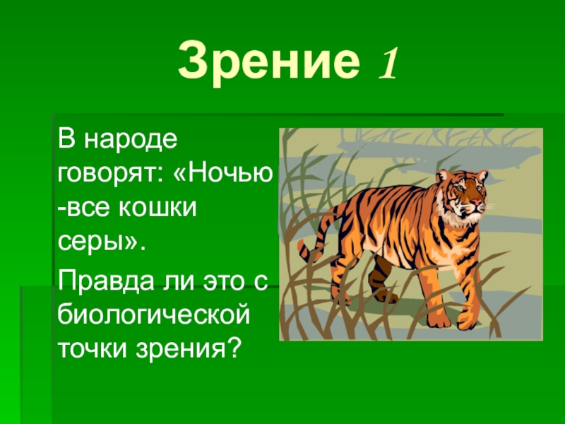 Ночью все кошки серы. Пословица ночью все кошки серые. В темноте все кошки пословица. Почему «ночью все кошки серы»?. Объясните поговорку в темноте все кошки серы.