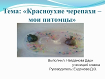 Презентация по биологии 5 кл Мир живой природы