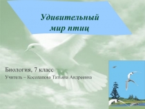 Презентация по биологии Удивительный мир птиц