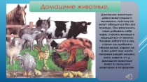 Презентация для детей старшего дошкольного возраста Домашние животные и их предки.
