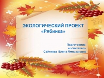 Презентация проекта по экологии Рябинка