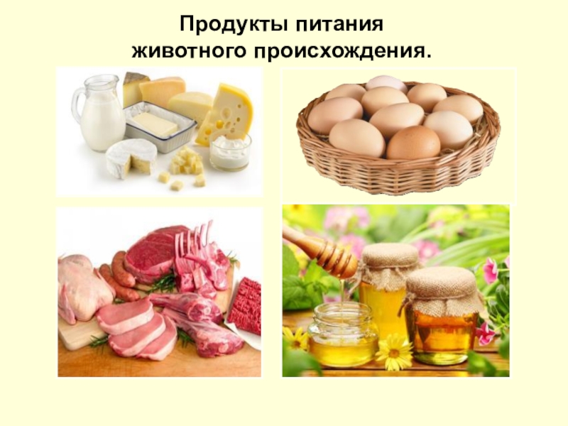 Картинки продуктов животного происхождения