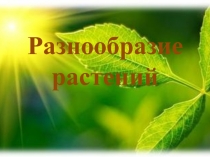 Презентация по окружающему миру на тему Разнообразие растений (3класс)