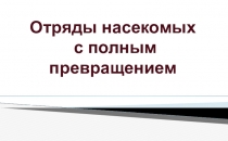 Насекомые с полным превращением