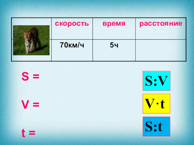 Километры время расстояние. Задачи на скорость время расстояние 4 класс таблица. Задачи на скорость время расстояние 4 класс формулы. Задания для 4 класса по теме скорость время расстояние. Задачи на движение животных.