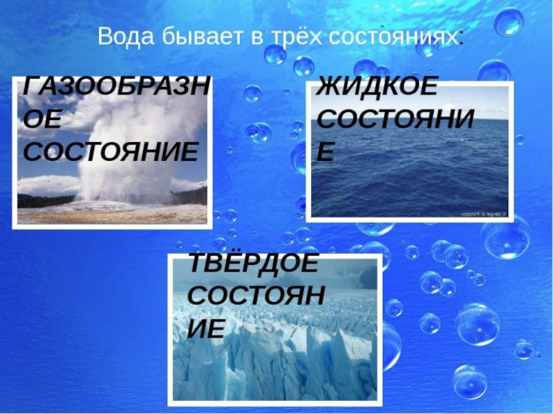 Проект о воде