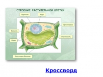 Методическое сопровождение урока биологии 5 класс Химический состав клетки
