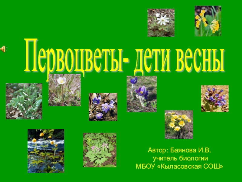 Презентация Презентация по биологии Первоцветы - дети весны (5 ,6 класс)