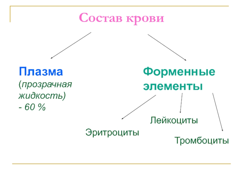 Состав крови схема 7 класс