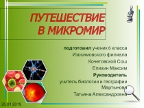 Перезентация по биологии на тему: Путешествие в микромир 6 класс