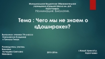 Презентация проекта Чего мы не знаем о Дошираке? (7 класс)