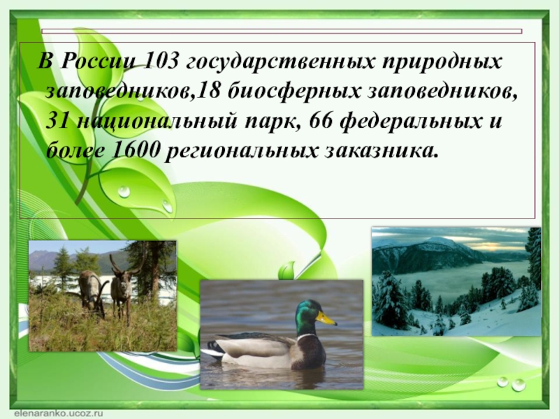 Экскурсия в природу 5 класс география презентация