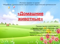 Презентация для детей дошкольного возраста Домашние животные