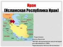 Презентация по географии на тему Иран (9 класс, коррекционная школа VIII вида)
