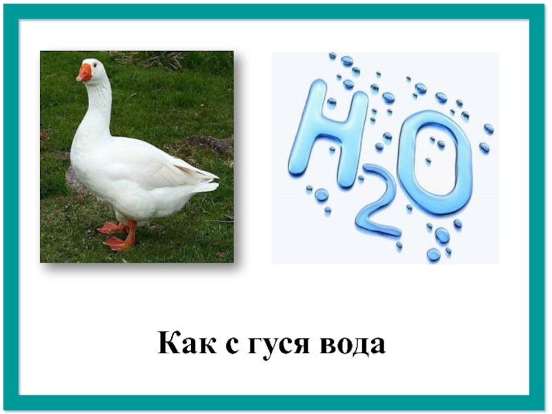 Как с гуся вода