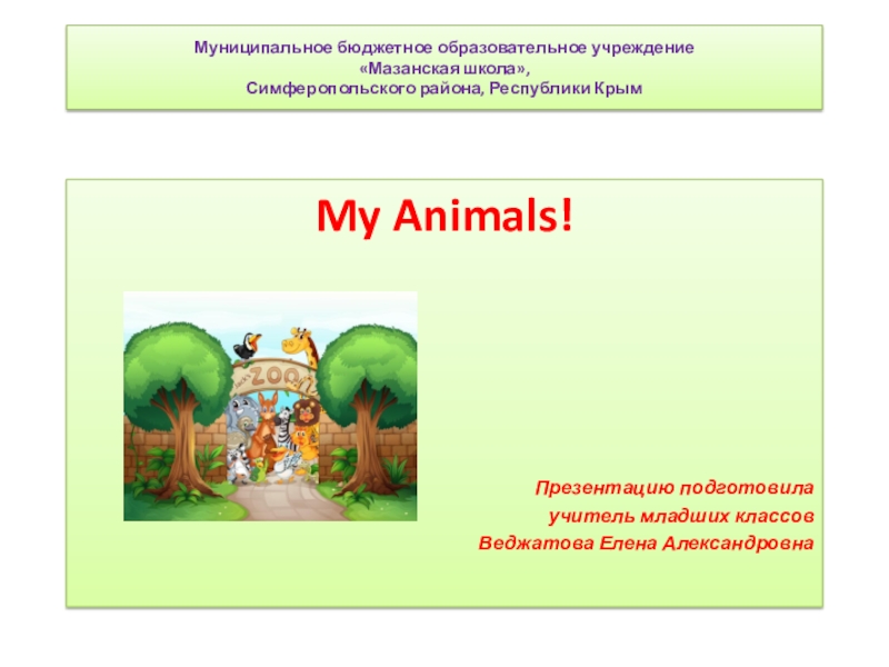 Презентация Презентация. Spotlight 2. К УМК Н. И. Быковой, Дж. Дули и др. My Animals