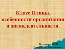 Презентация по биологии на тему: Класс Птицы 7 класс