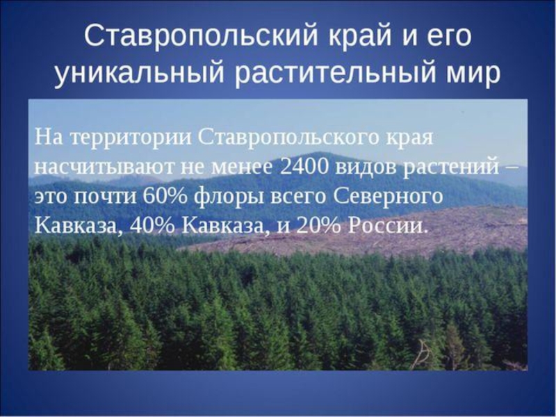 Особо охраняемые территории ставропольского края презентация