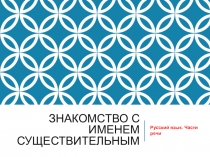 Презентация по русскому языку Имя существительное