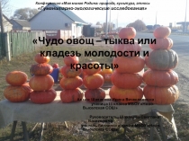 Исследовательская работа Чудо овощ – тыква или кладезь молодости и красоты